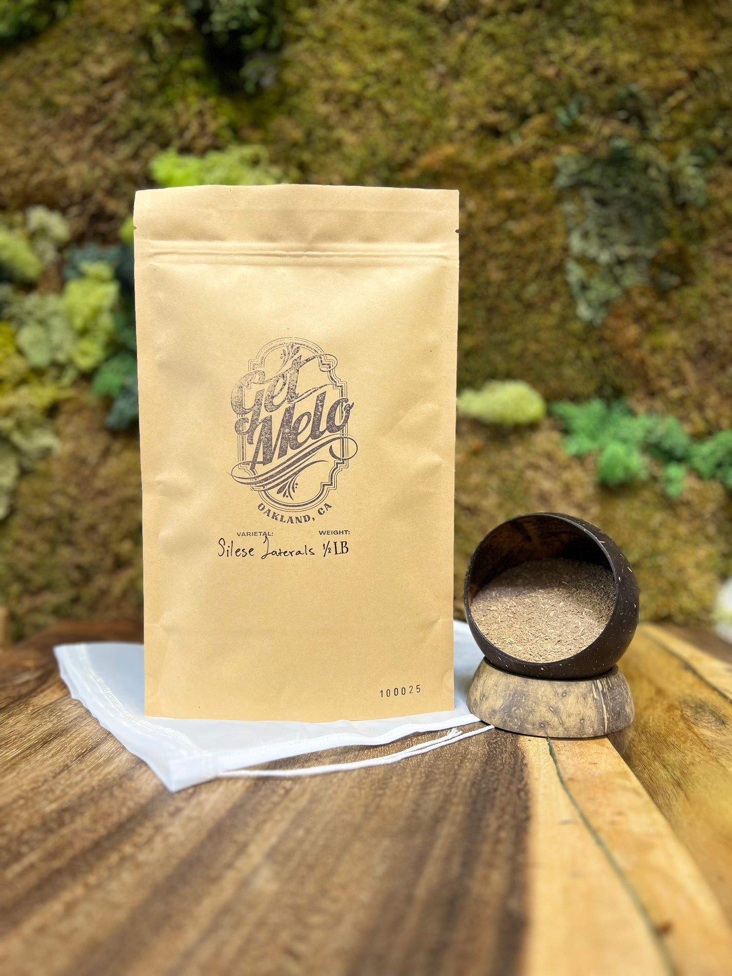 Silese Laterals [Vanuatu]