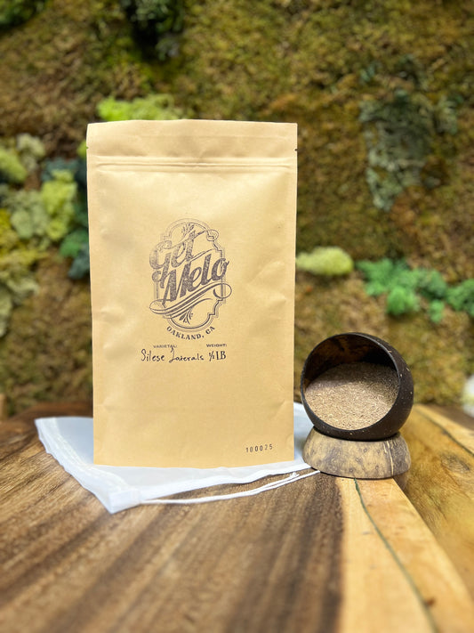 Silese Laterals [Vanuatu]